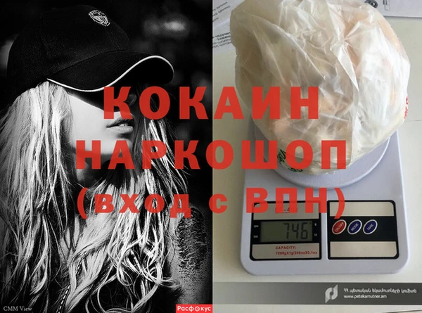 дживик Новозыбков