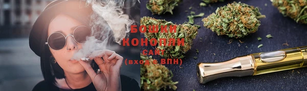дживик Новозыбков