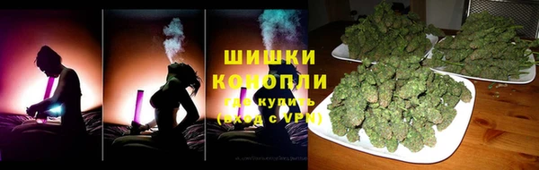 дживик Новозыбков