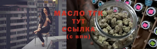 дживик Новозыбков