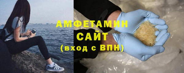 прущие грибы Новодвинск