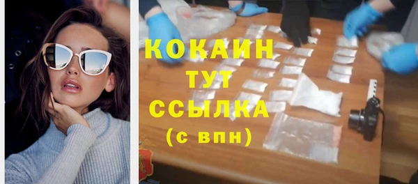 дживик Новозыбков