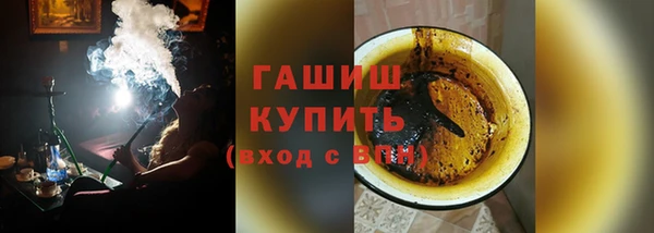 ГАЛЛЮЦИНОГЕННЫЕ ГРИБЫ Дмитриев