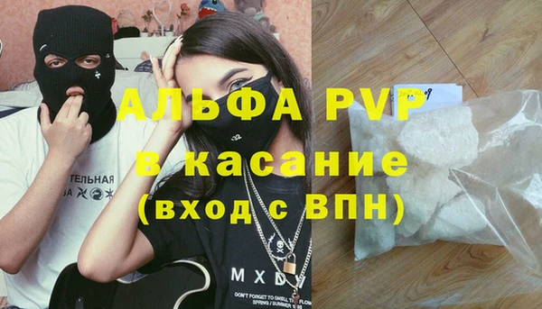 прущие грибы Новодвинск