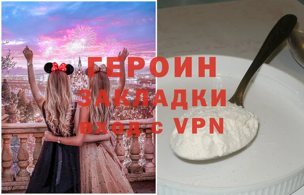 прущие грибы Новодвинск