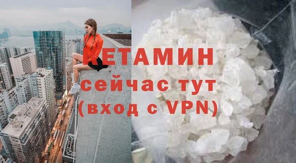 прущие грибы Новодвинск