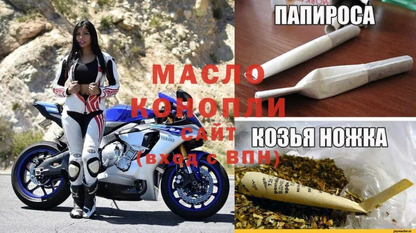 прущие грибы Новодвинск