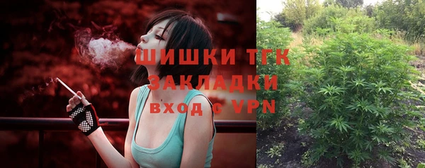 прущие грибы Новодвинск