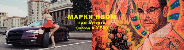 дживик Новозыбков
