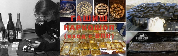прущие грибы Новодвинск