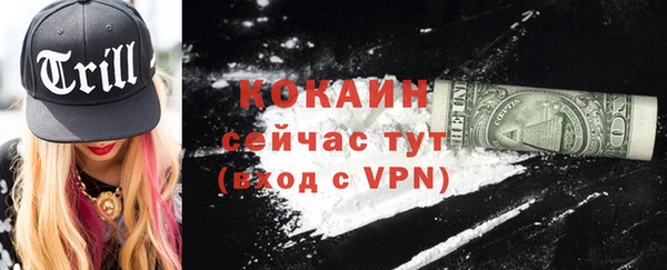 прущие грибы Новодвинск