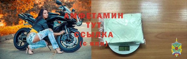 прущие грибы Новодвинск