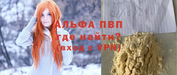 дживик Новозыбков