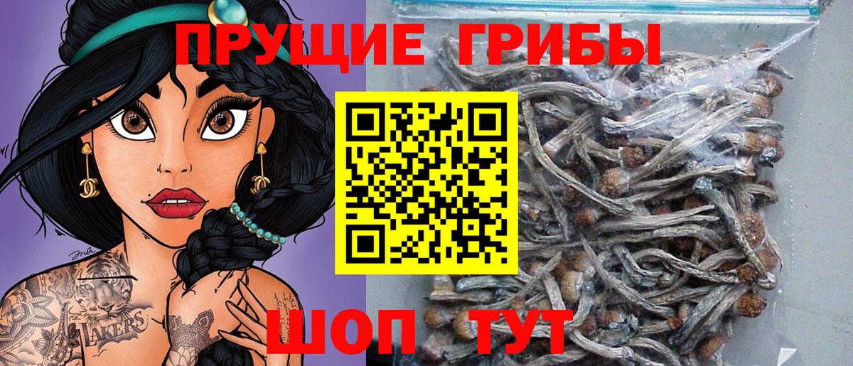 Псилоцибиновые грибы Cubensis  Вход с VPN  Алексин  Галлюциногенные грибы Cubensis 