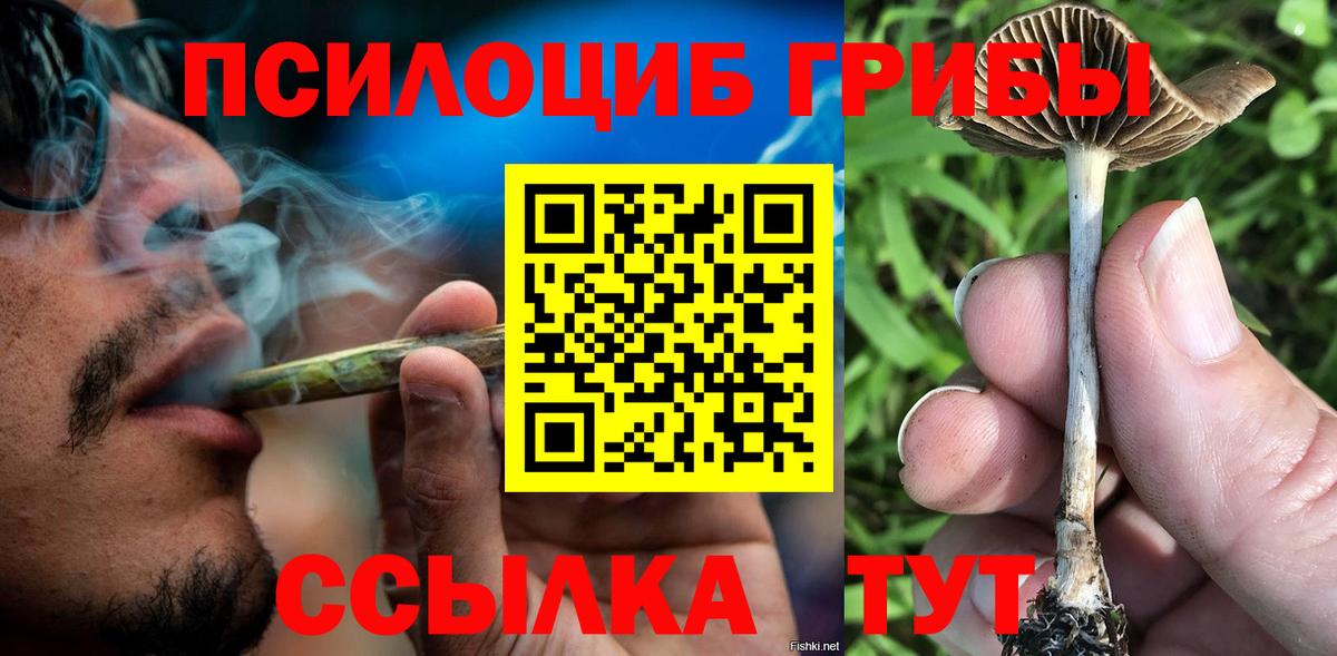Галлюциногенные грибы Psilocybine cubensis  где продают   Алексин 