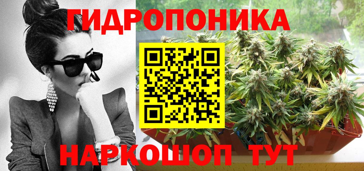Бошки марихуана сатива  Вход с VPN  Каннабис конопля  Алексин  Бошки Шишки Amnesia 